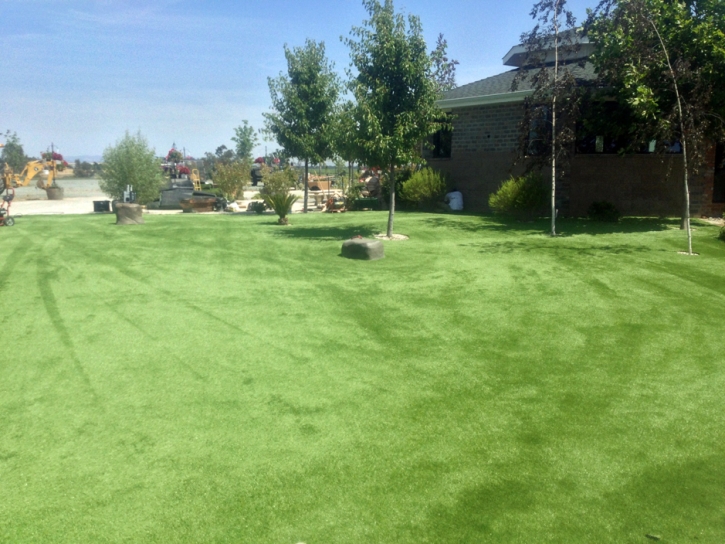 Synthetic Grass Citrus Springs, Florida Cat Playground, Parks