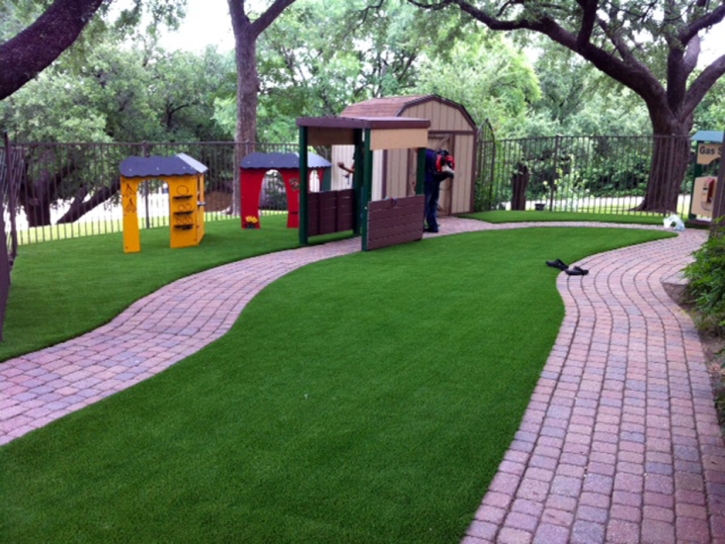 Synthetic Grass Cost Altoona, Florida Lawn And Landscape, Commercial Landscape