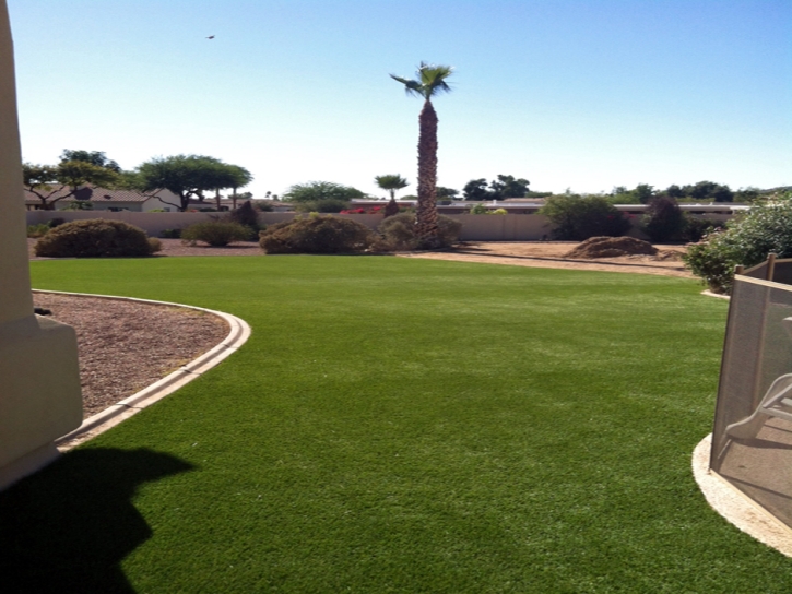 Synthetic Grass Cost Branford, Florida Landscaping, Backyard Designs