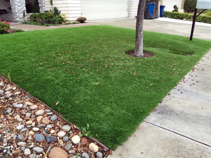 Synthetic Grass Cost Branford, Florida Landscape Design, Front Yard