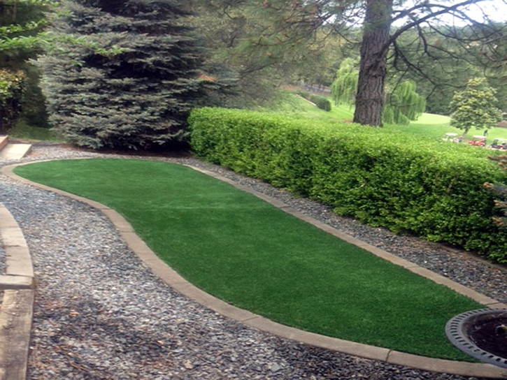 Synthetic Grass Cost Four Corners, Florida Landscaping