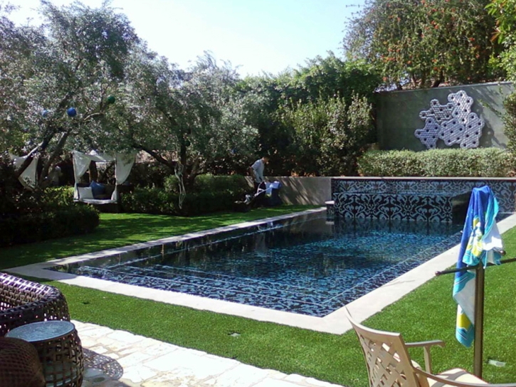 Synthetic Grass Cost Lake Kathryn, Florida Landscape Ideas, Swimming Pools