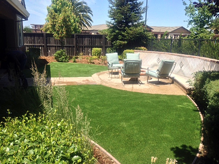 Synthetic Grass Cost North Weeki Wachee, Florida Landscaping Business, Backyard Makeover