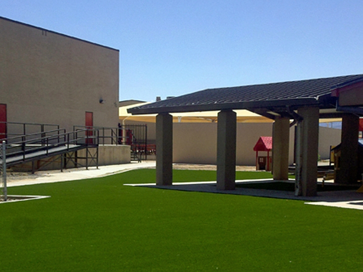 Synthetic Grass Cost Worthington Springs, Florida Roof Top, Commercial Landscape