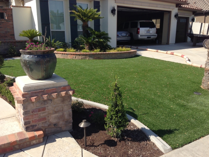 Synthetic Grass Cost Yalaha, Florida Lawn And Landscape, Front Yard Ideas