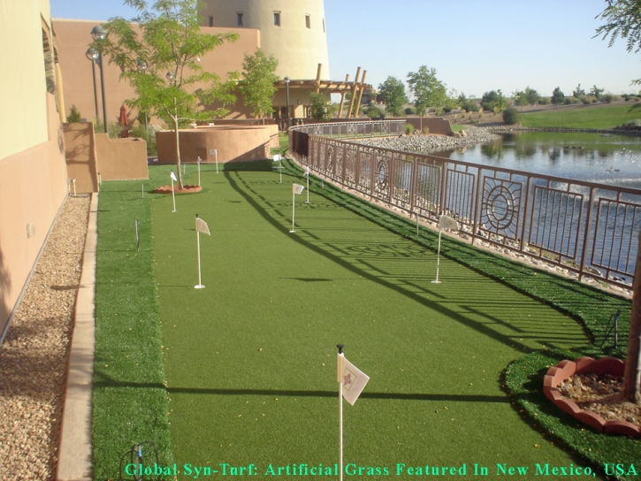 Synthetic Grass Fruit Cove, Florida Indoor Putting Green, Backyards