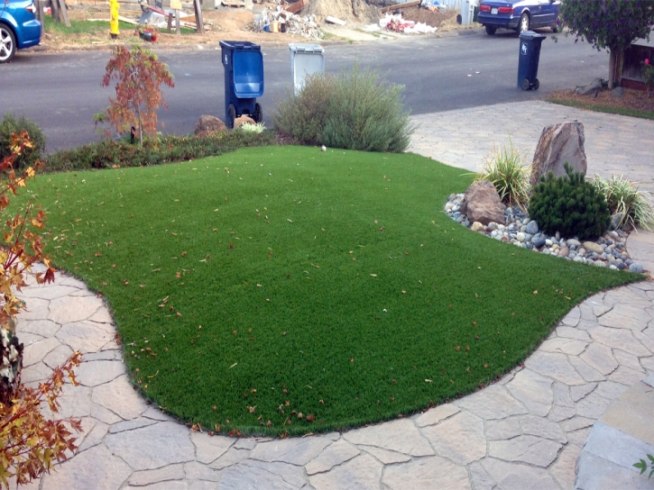 Synthetic Grass Fruit Cove, Florida Garden Ideas