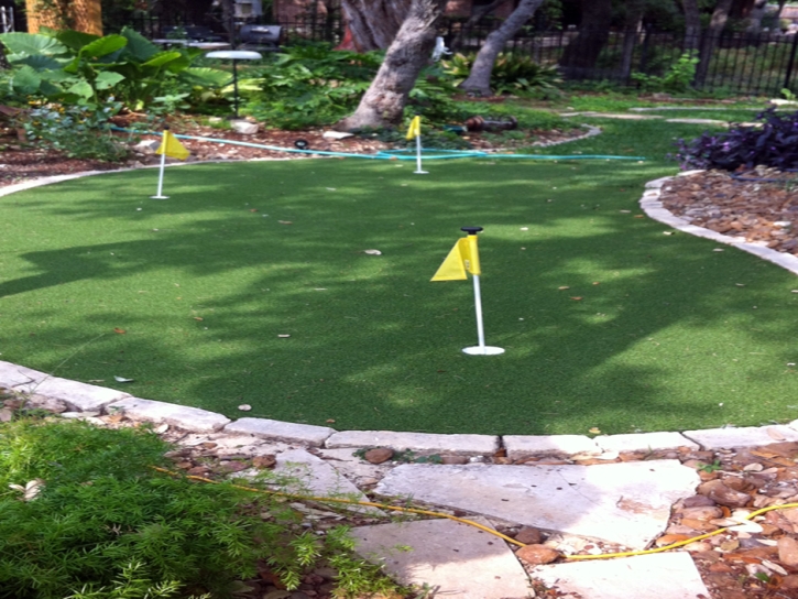 Synthetic Grass Lake Mack-Forest Hills, Florida City Landscape, Backyard Designs