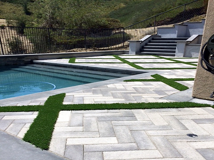 Synthetic Grass Lake Panasoffkee, Florida Lawn And Landscape, Backyard Landscape Ideas