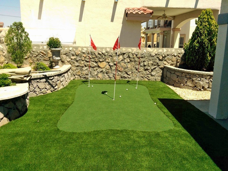 Synthetic Grass Lakeside, Florida Landscape Ideas, Small Backyard Ideas