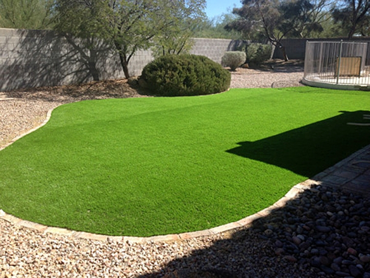 Synthetic Grass North Brooksville, Florida Home And Garden, Beautiful Backyards