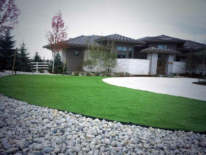 Synthetic Grass Paisley, Florida Backyard Playground, Front Yard