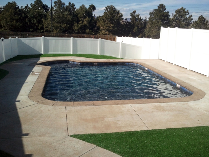 Synthetic Grass Port Saint John, Florida Backyard Playground, Backyard Pool