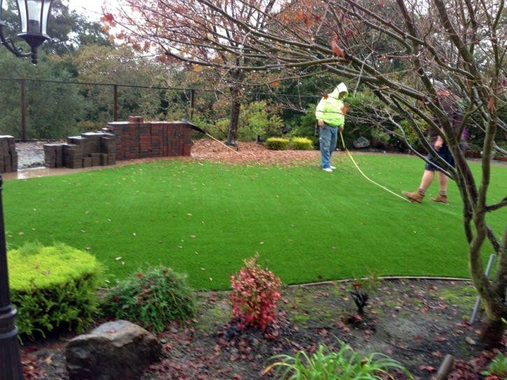 Synthetic Grass Tildenville, Florida Design Ideas, Backyard Landscaping