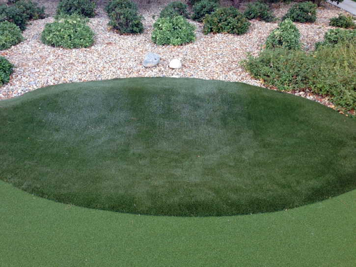 Synthetic Grass Webster, Florida Putting Green Flags