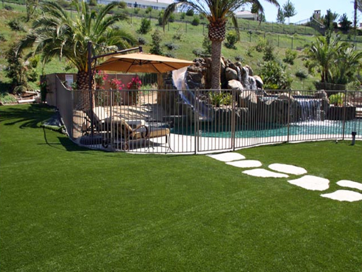 Synthetic Grass West DeLand, Florida Roof Top, Swimming Pools