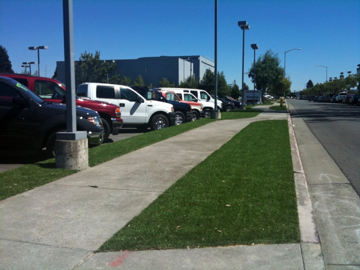 Synthetic Lawn McIntosh, Florida Landscape Photos, Commercial Landscape