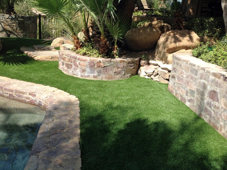 Synthetic Lawn Pine Ridge, Florida Watch Dogs, Backyard Ideas