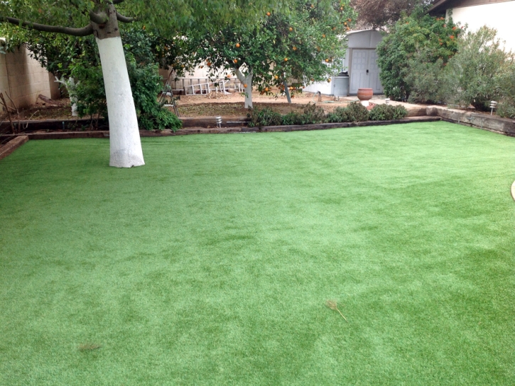 Synthetic Lawn South Daytona, Florida Landscape Ideas, Beautiful Backyards