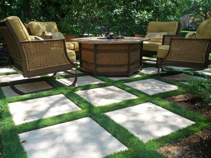 Synthetic Lawn Windermere, Florida Landscaping, Backyard Landscaping