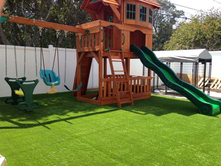 Synthetic Turf Bay Hill, Florida Garden Ideas, Backyard Ideas