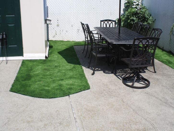 Synthetic Turf Chuluota, Florida Landscape Ideas, Backyard