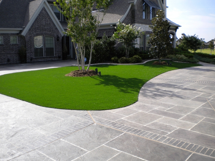 Synthetic Turf Flagler Beach, Florida Roof Top, Front Yard Landscape Ideas