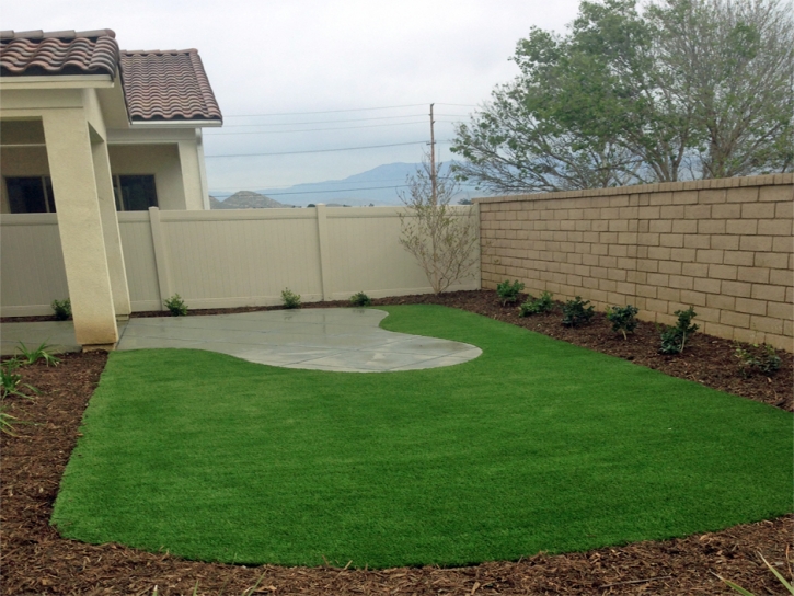 Synthetic Turf Geneva, Florida Landscape Photos, Backyards