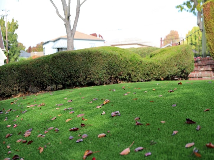 Synthetic Turf Hampton, Florida City Landscape, Front Yard Landscaping Ideas