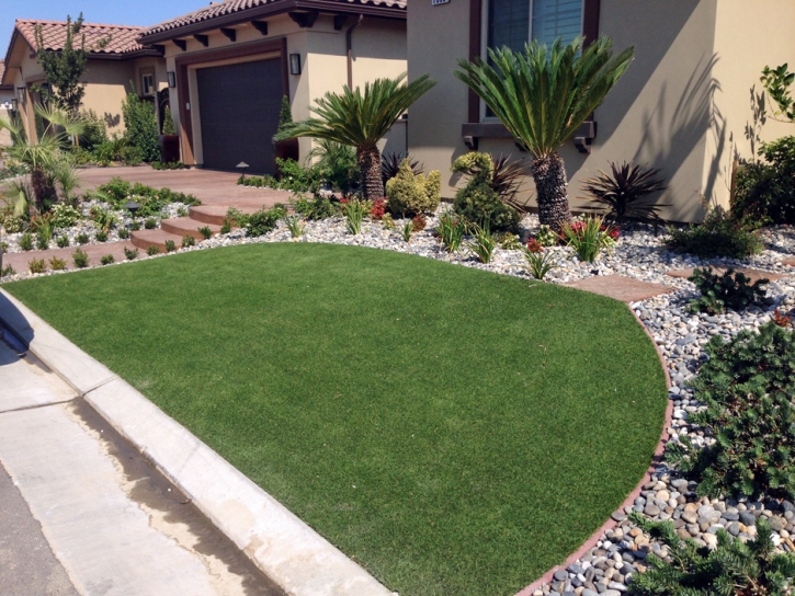 Synthetic Turf Howie In The Hills, Florida Landscape Design, Front Yard Landscape Ideas