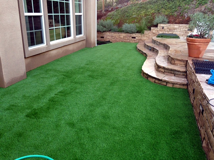 Synthetic Turf Lake Mary, Florida Lawns, Backyard Makeover