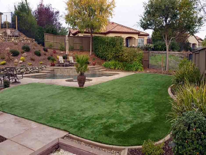 Synthetic Turf Mayo, Florida Garden Ideas, Backyard Makeover