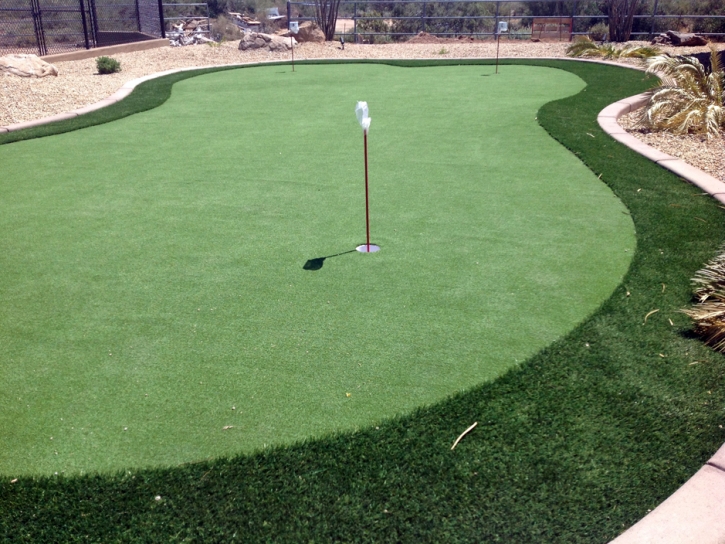 Synthetic Turf New Smyrna Beach, Florida City Landscape, Beautiful Backyards