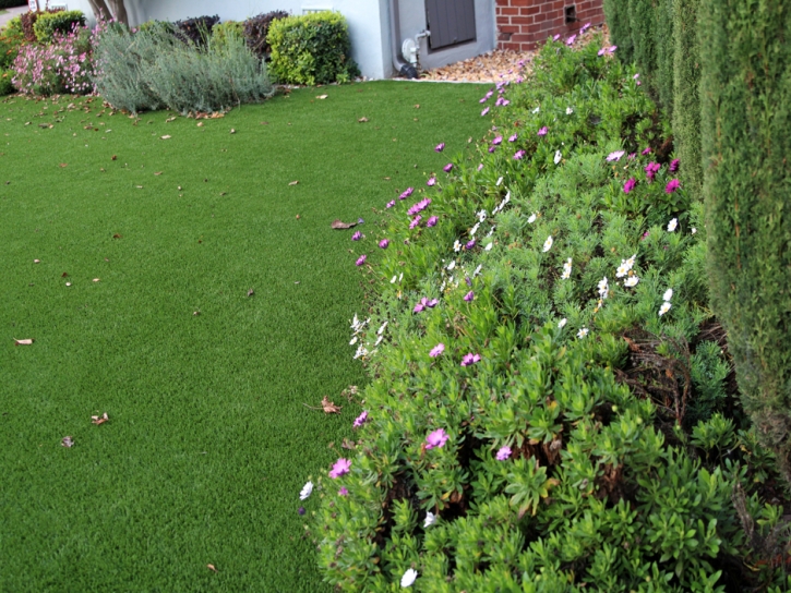 Synthetic Turf Ocala, Florida Landscaping, Front Yard