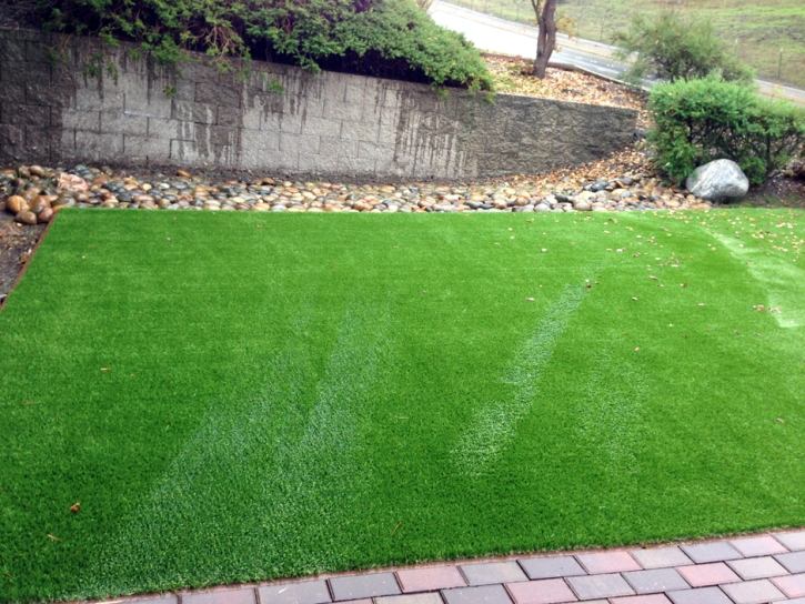 Synthetic Turf Supplier Alafaya, Florida Backyard Playground, Backyard