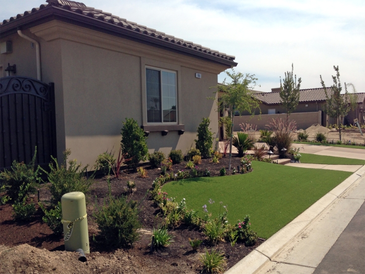 Synthetic Turf Supplier Bellair-Meadowbrook Terrace, Florida Garden Ideas, Front Yard Landscape Ideas