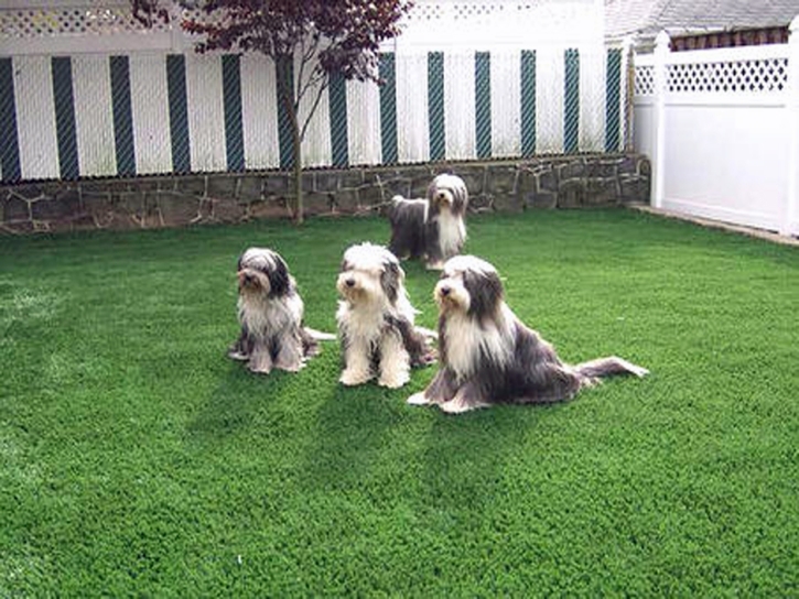 Synthetic Turf Supplier Geneva, Florida Design Ideas, Backyard Garden Ideas