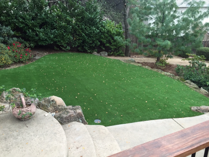 Synthetic Turf Supplier Greenville, Florida Backyard Playground, Small Backyard Ideas