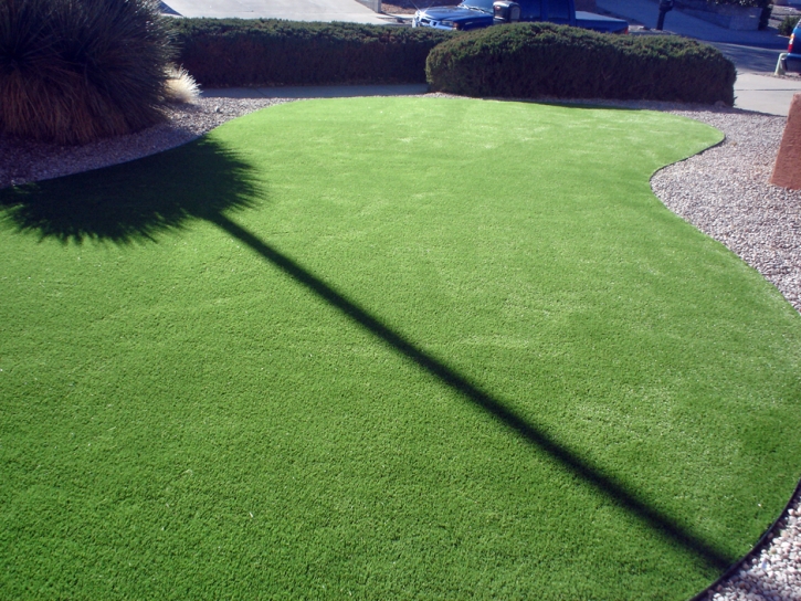 Synthetic Turf Supplier Holden Heights, Florida Gardeners, Front Yard Ideas