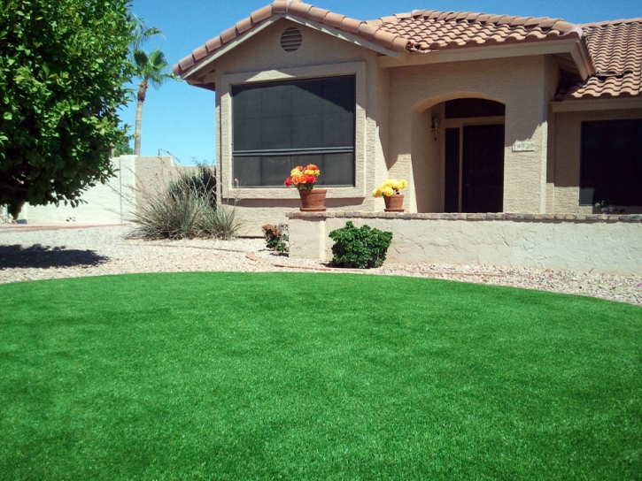 Synthetic Turf Supplier Holden Heights, Florida Gardeners, Front Yard Landscape Ideas