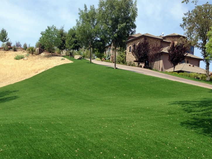 Synthetic Turf Supplier Horseshoe Beach, Florida Lawn And Landscape, Front Yard Landscaping