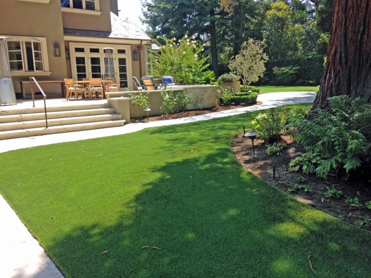 Synthetic Turf Supplier Istachatta, Florida Backyard Deck Ideas, Backyard Ideas