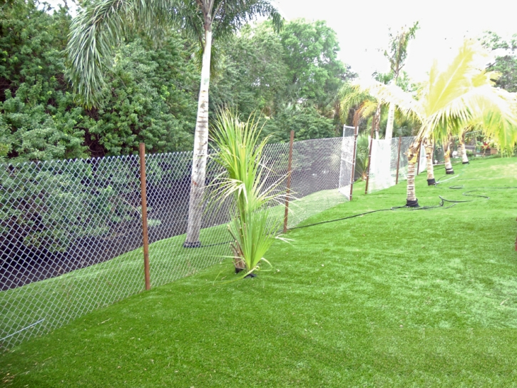 Synthetic Turf Supplier Lake Buena Vista, Florida Backyard Deck Ideas, Backyard Garden Ideas