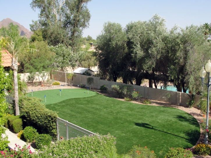 Synthetic Turf Supplier Lake Lindsey, Florida Garden Ideas, Backyard Makeover