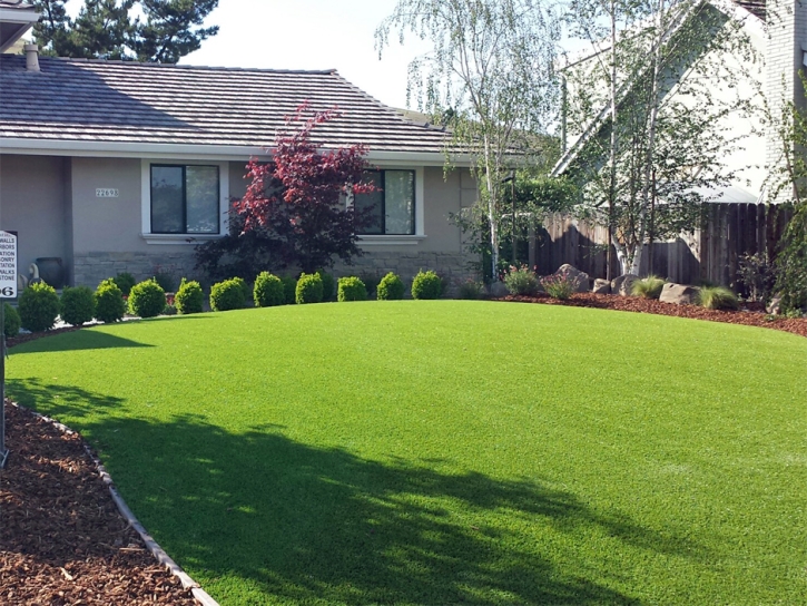 Synthetic Turf Supplier Lecanto, Florida Landscaping Business, Landscaping Ideas For Front Yard