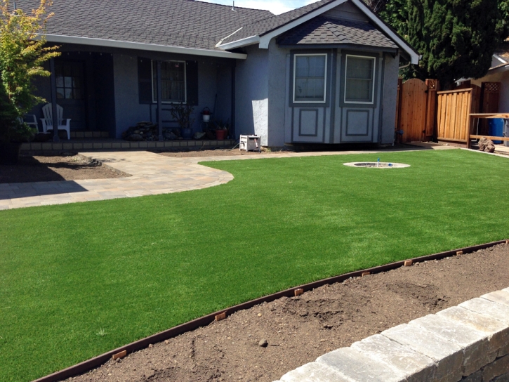 Synthetic Turf Supplier Leesburg, Florida City Landscape, Small Front Yard Landscaping