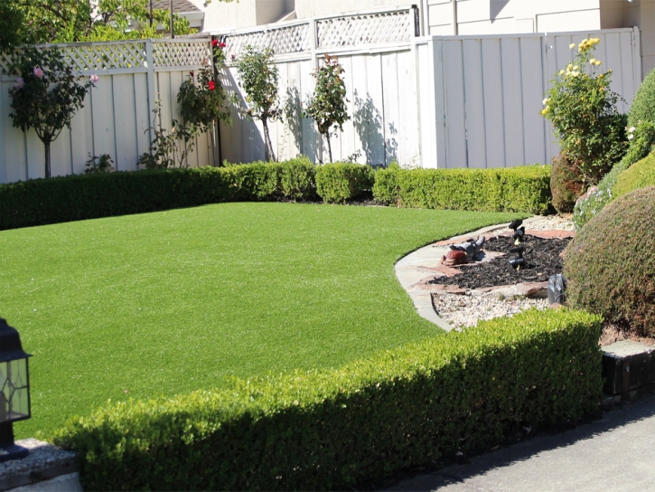 Synthetic Turf Supplier Midway, Florida Landscape Design, Backyards