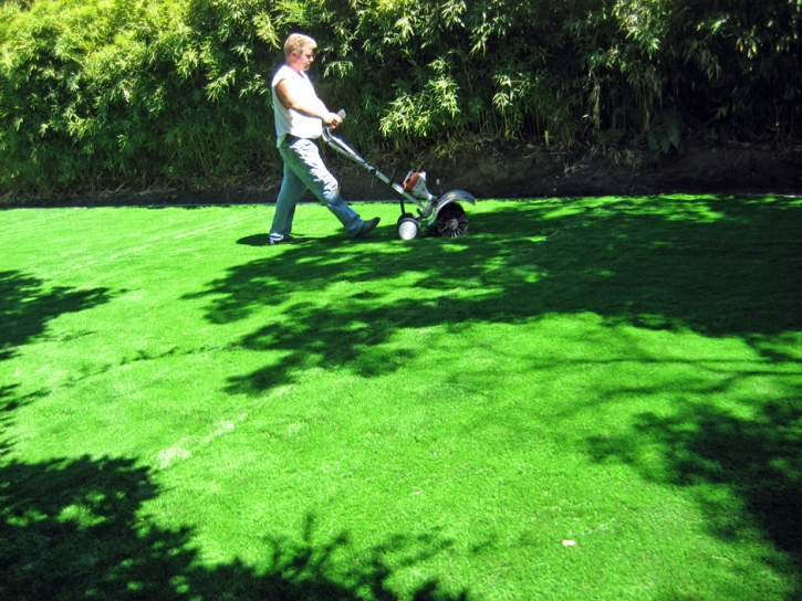 Synthetic Turf Supplier Minneola, Florida Lawn And Garden, Backyard Makeover