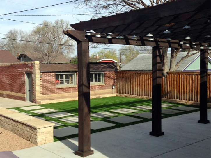 Synthetic Turf Supplier Mount Dora, Florida Landscape Ideas, Backyard Landscaping Ideas