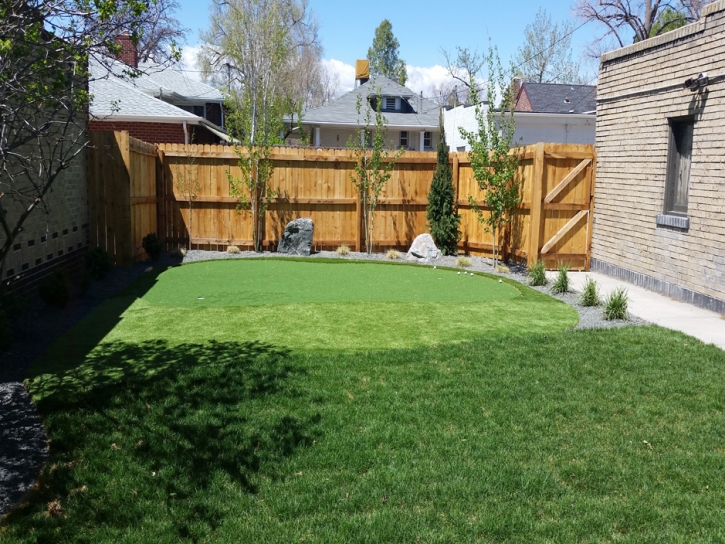 Synthetic Turf Supplier Ponce Inlet, Florida Backyard Putting Green, Backyard Garden Ideas